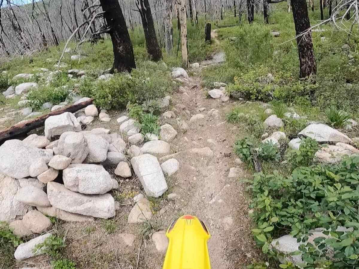 Camp Creek Trail photo 4