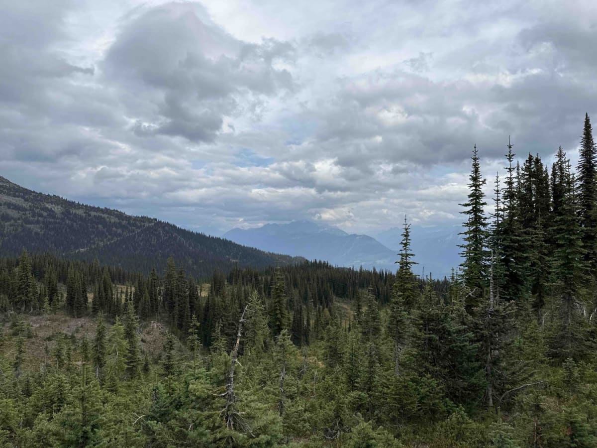 Meadow Mountain photo 6