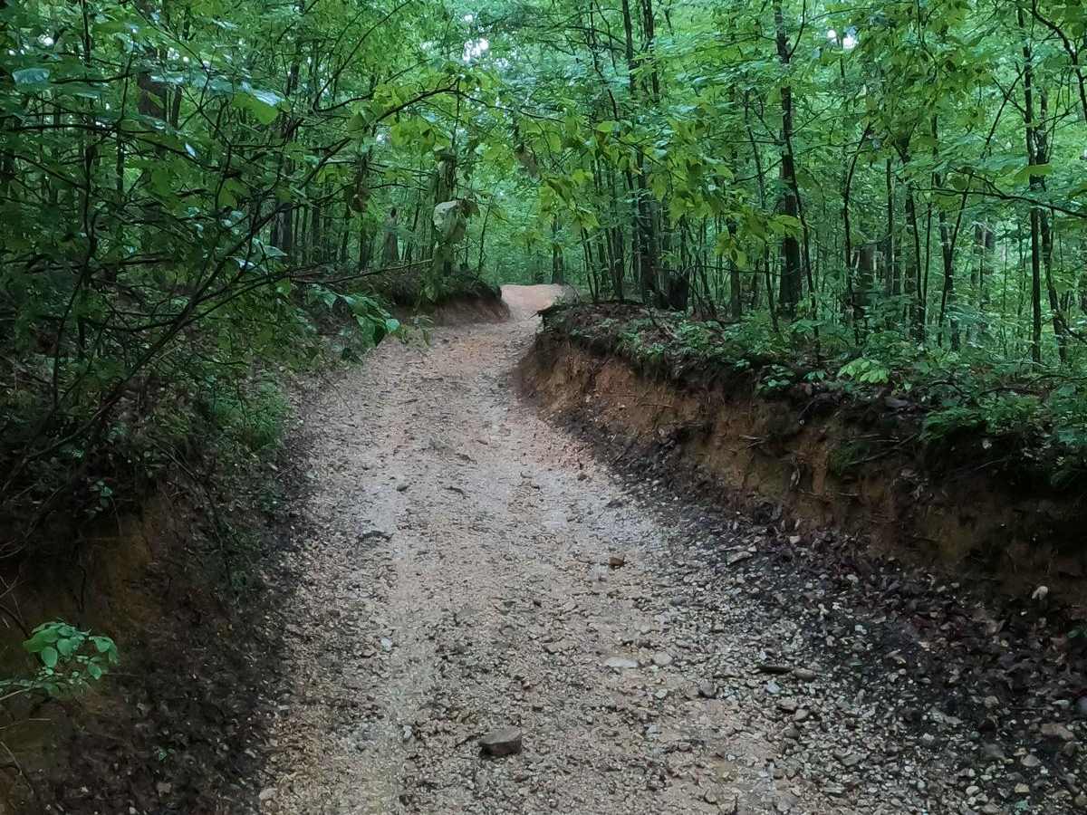 8 to E Road photo 4