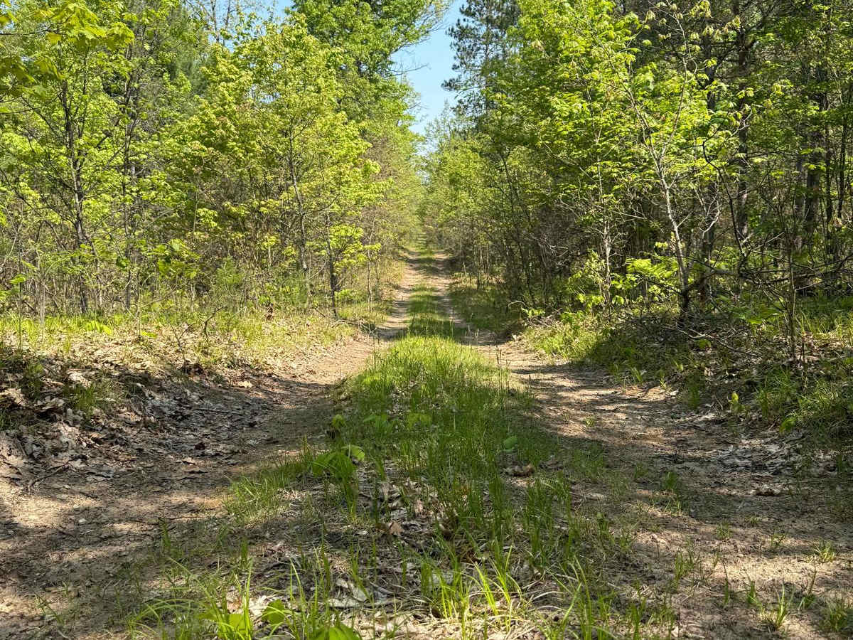 County Meadow Trail trail photo