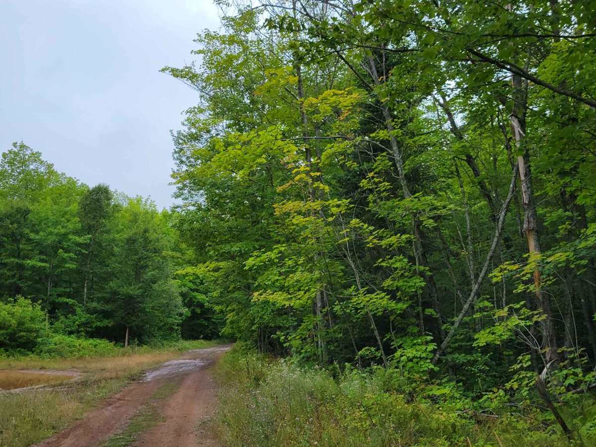 Keweenaw State Trail Segment 1 trail photo
