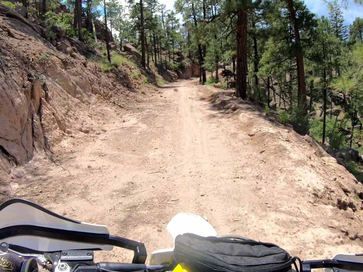 Pajarito - FR 446CC photo 3