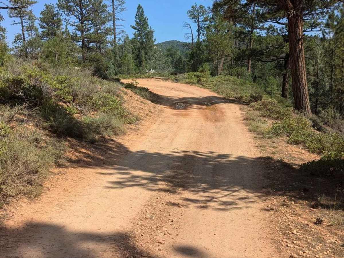 Stout Ridge Point photo 5