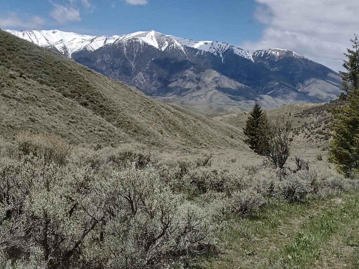 Arco Pass to Horsethief Canyon trail photo