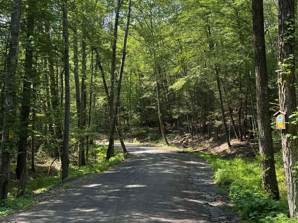 Cutler Road photo 4