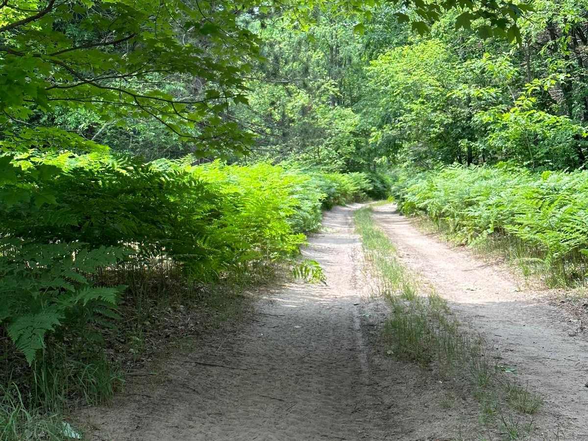 Rail Trail Part 4 photo 3