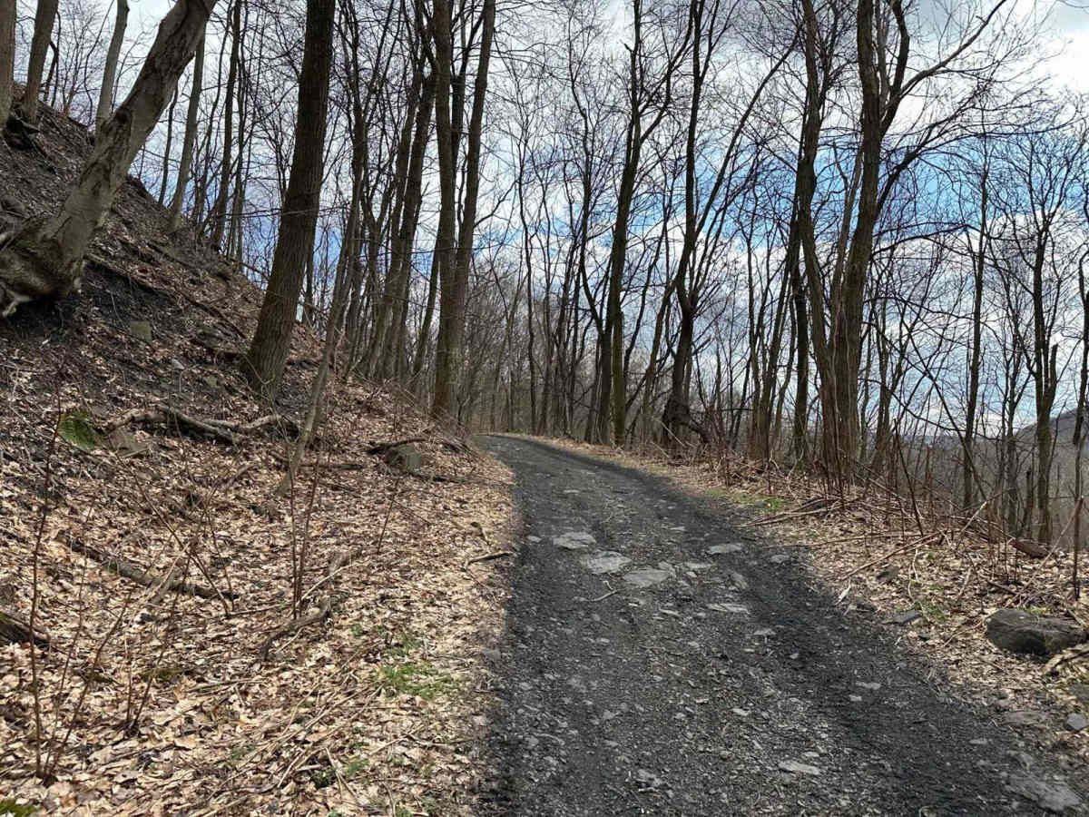 Ashland 13 trail photo