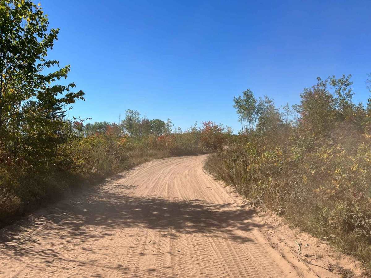 Trail 5- Forest Road 508 photo 6