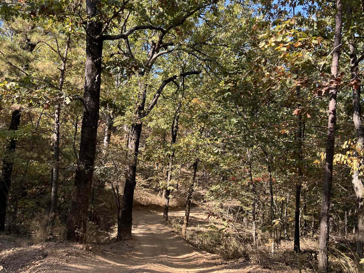 Wolf Pen Gap 313 photo 2