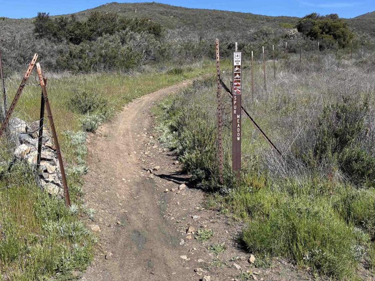 Spur Meadow trail photo