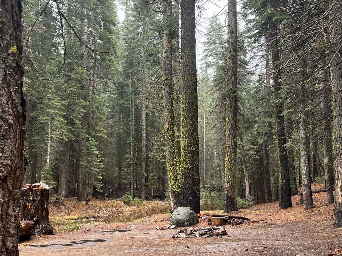 Trout Creek photo 2