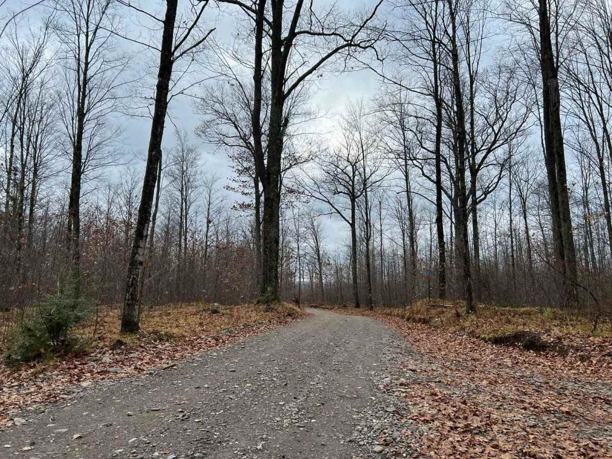 Florence County F6 North Horseshoe photo 3