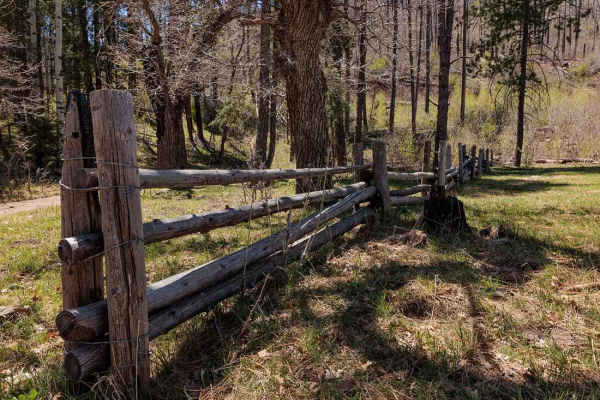 Bear Canyon Rd-FS 855 A