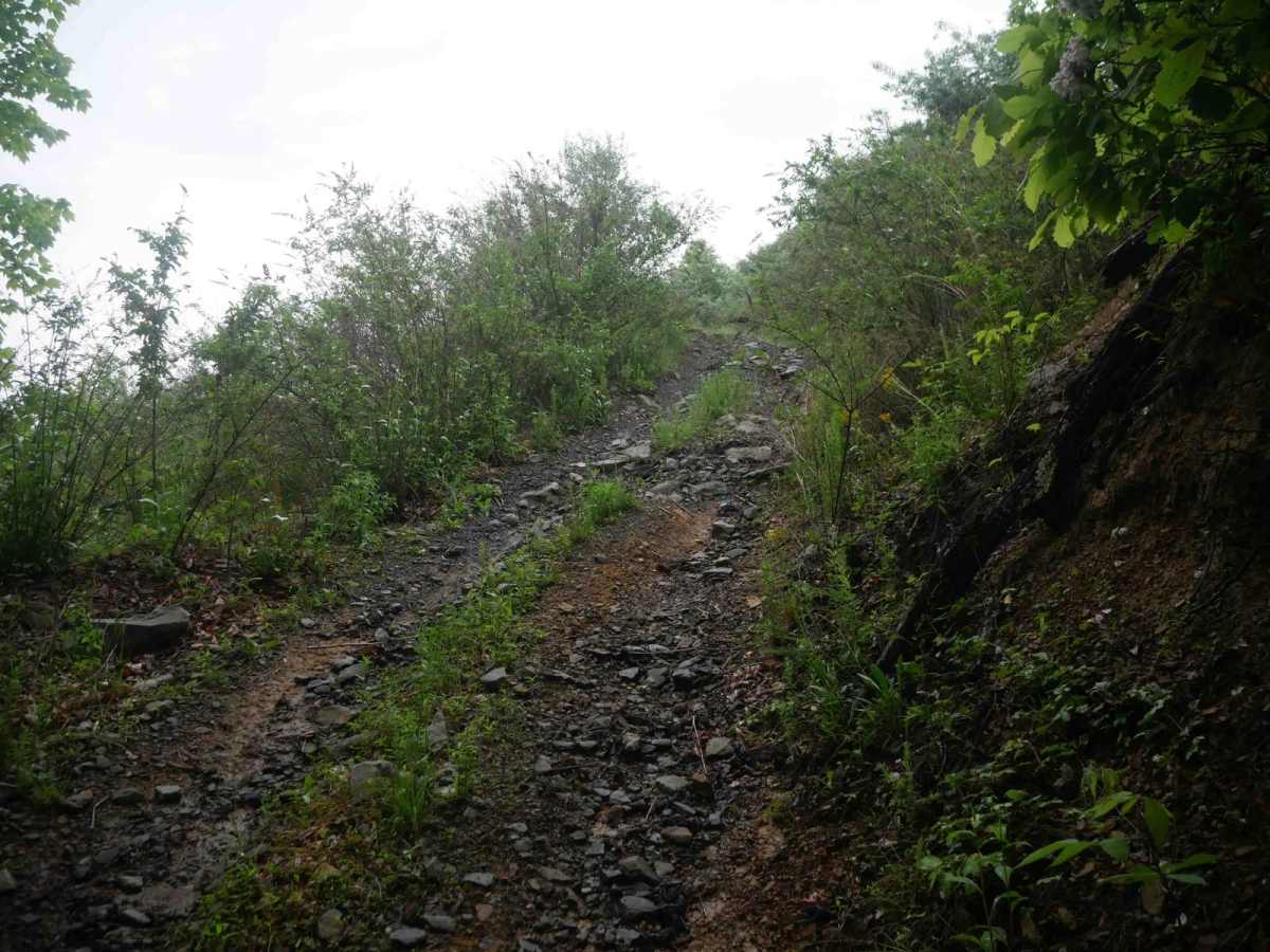 CC40 trail photo