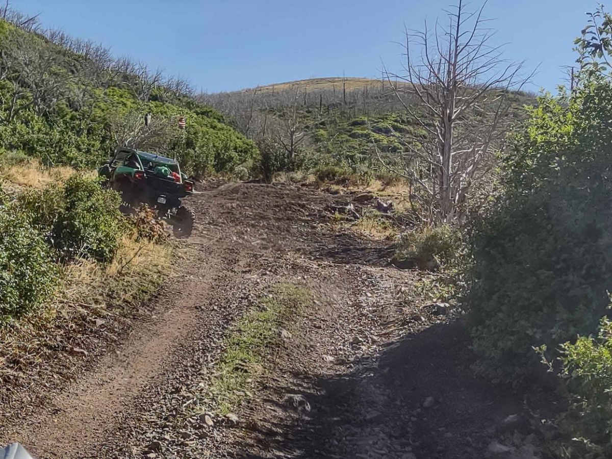 FS Trail #41040 photo 3