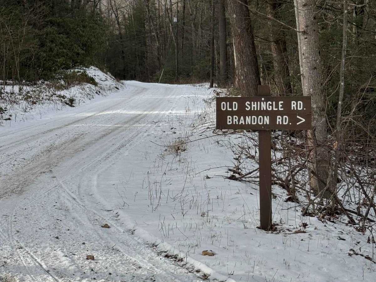 Old Shingle Road photo 6