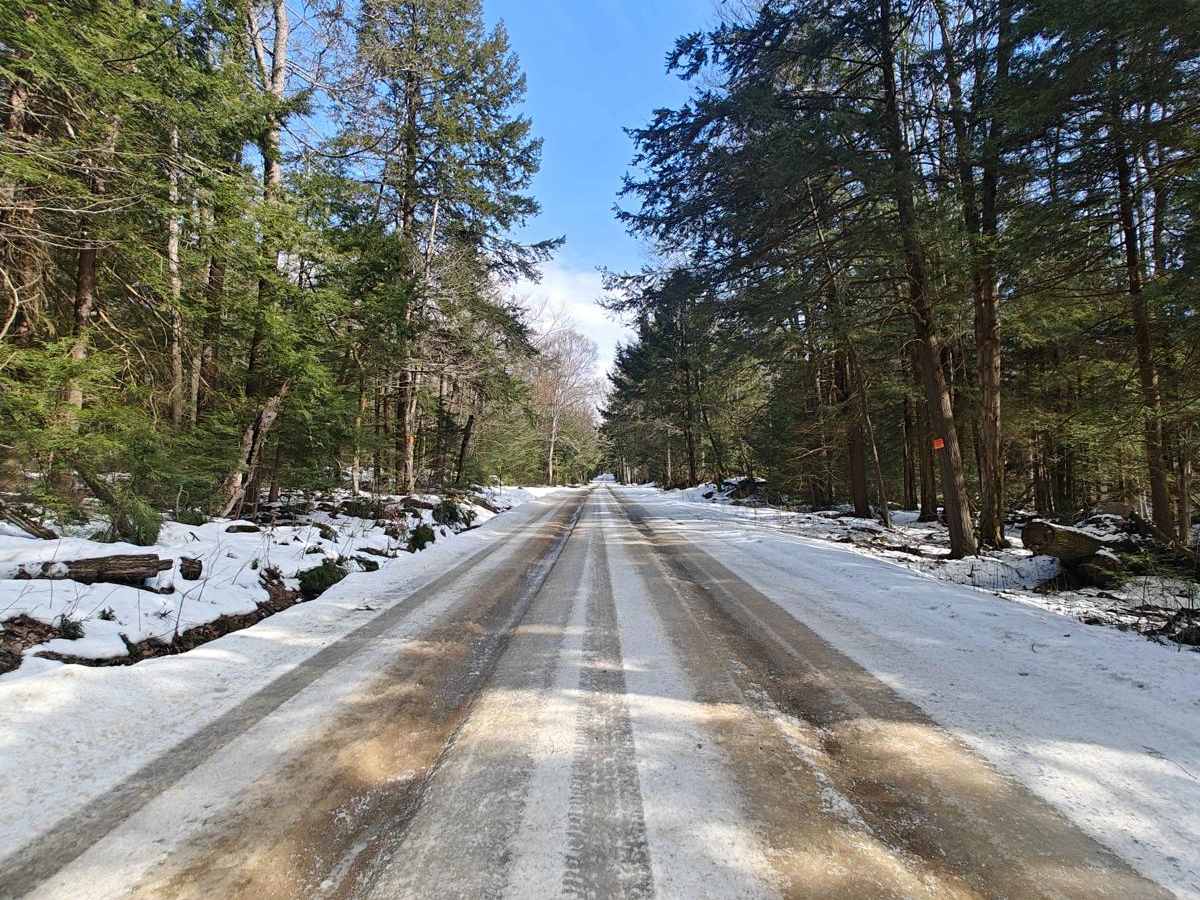 Hook Run Road - FSR 160 photo 4