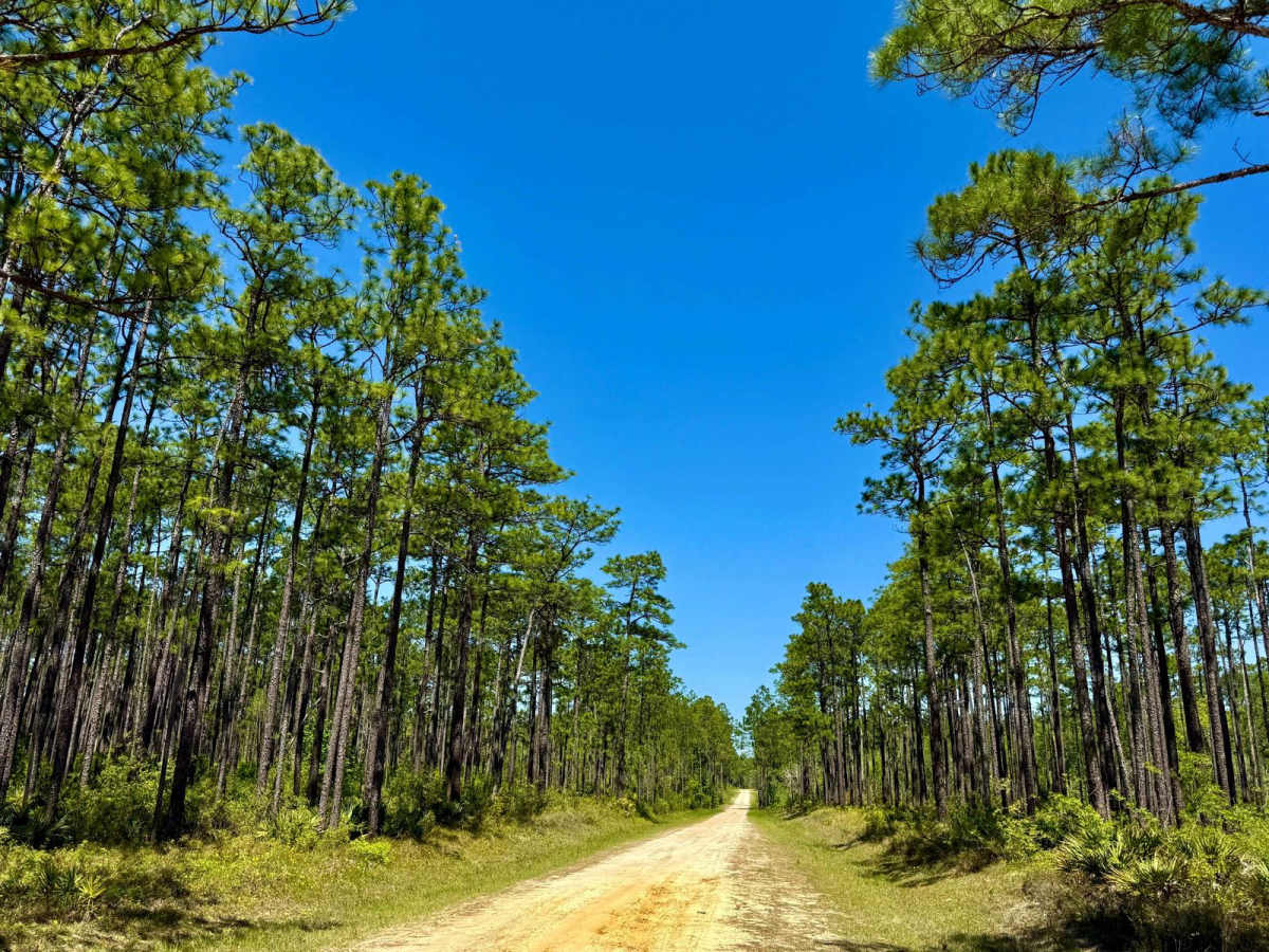 Owl Creek 129-A photo 4