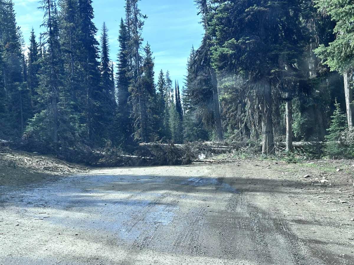 Meadows Goose Lake photo 3