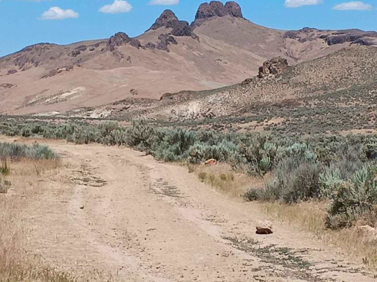 Three Fingers Gulch Trail photo 3