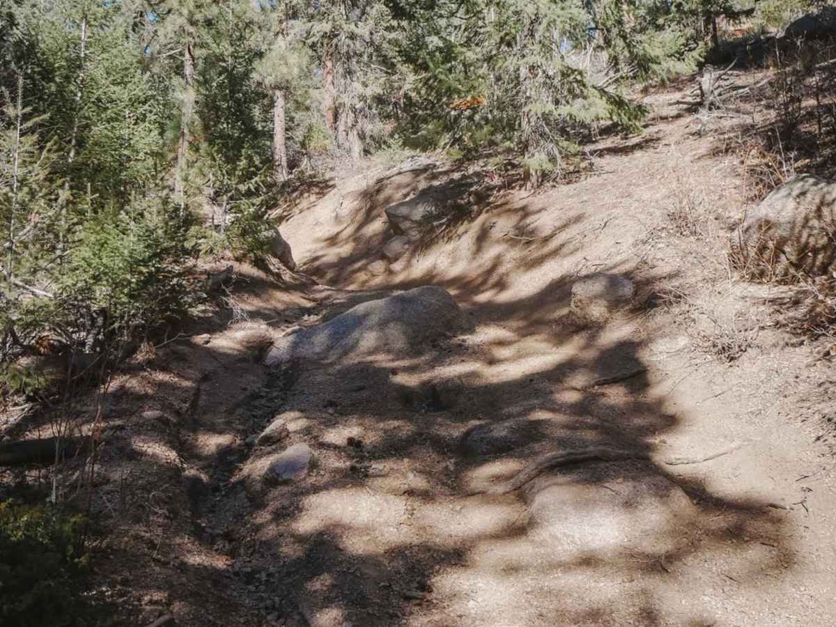 654 Roi Tan ATV Trail photo 6