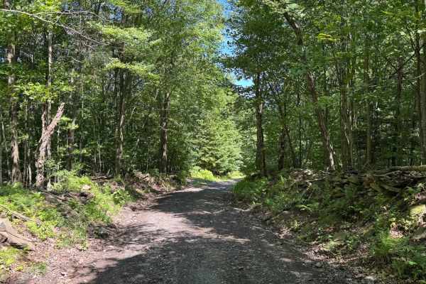 Townsend Hollow Road