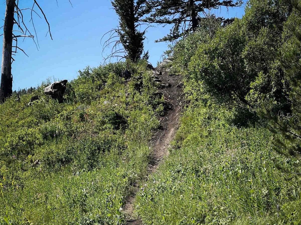 Gear Down trail photo