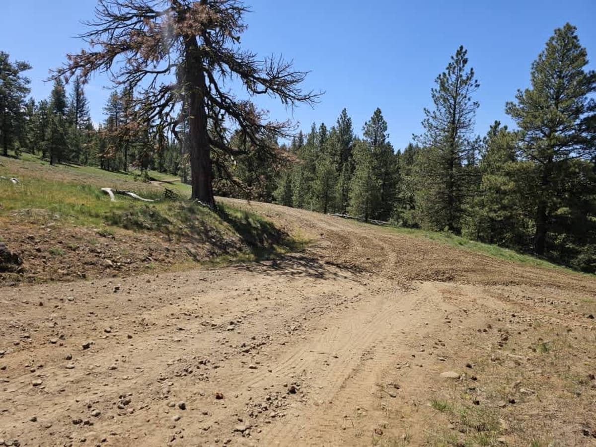 East Fork Road trail photo