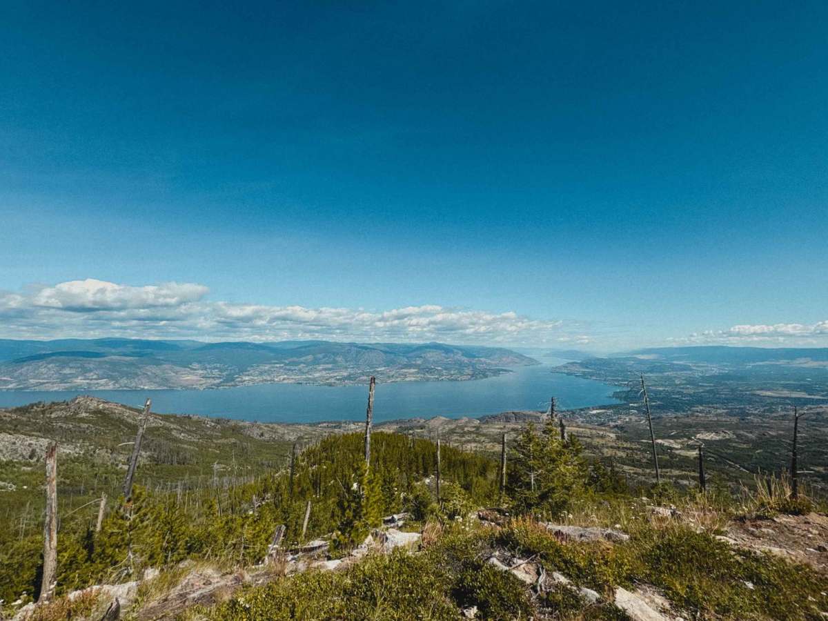 Okanagan Mountain Lookout trail photo