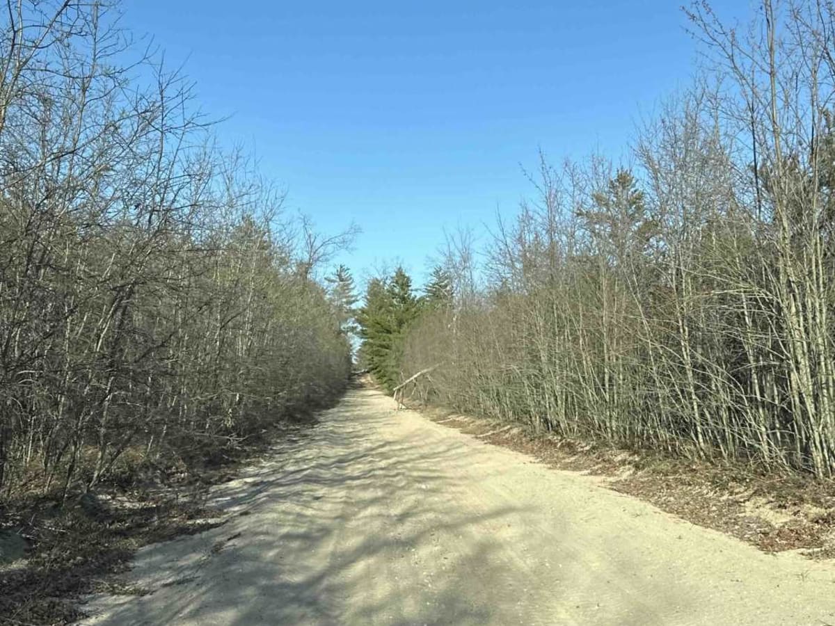 FS 4466 photo 3