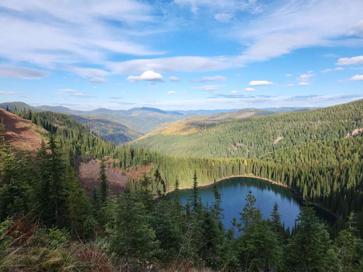 Upper Red Ives Creek trail photo