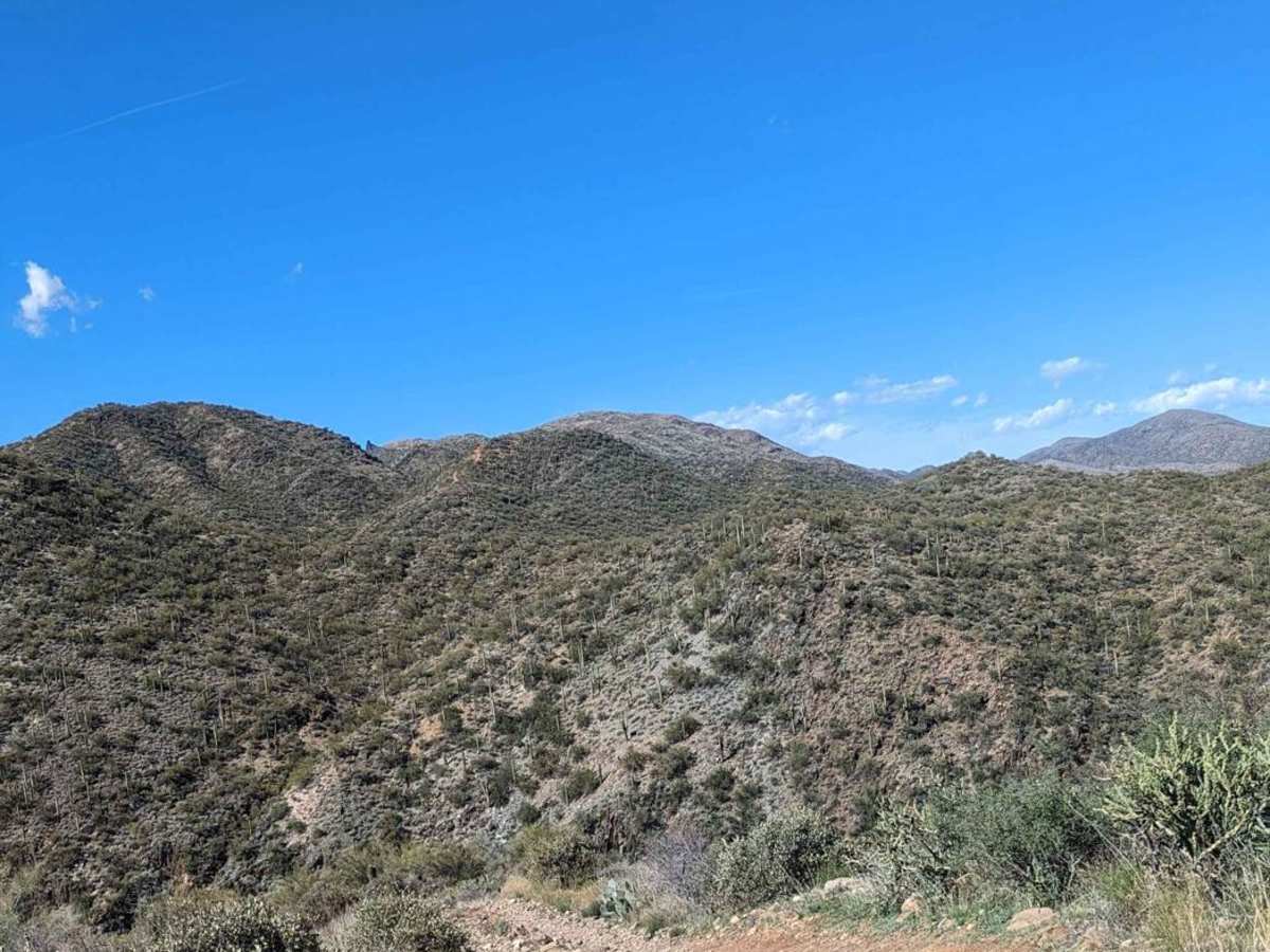 Black Canyon Creek photo 2