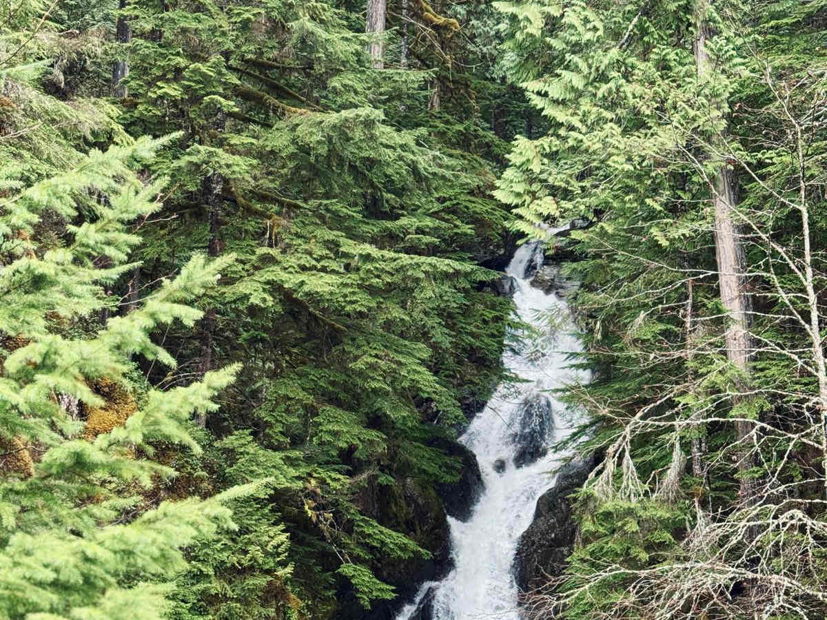 Sloquet Hot Springs photo 3
