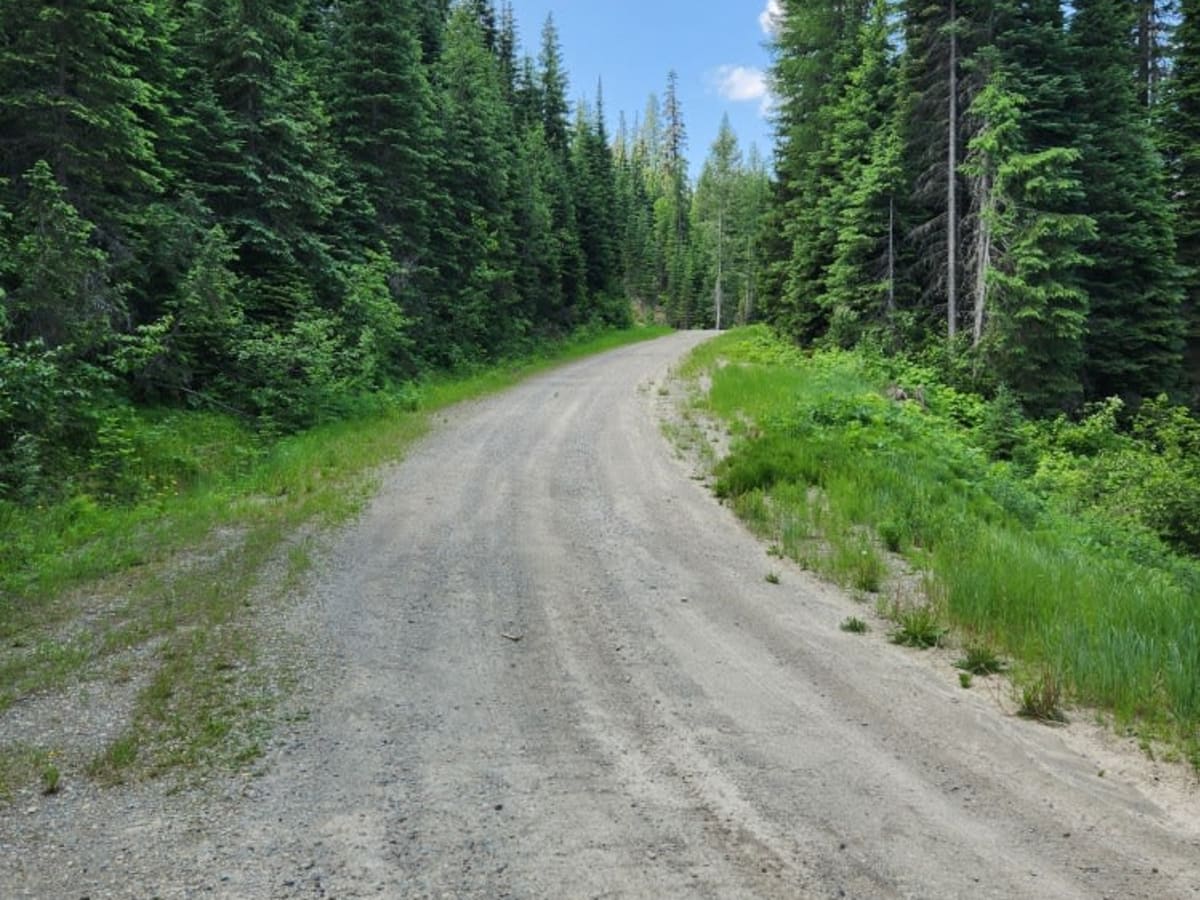 Coal Creek to Dead Horse #317 photo 5