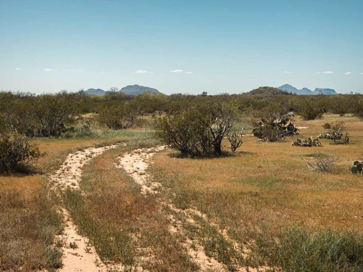 Date Creek Cutoff photo 2