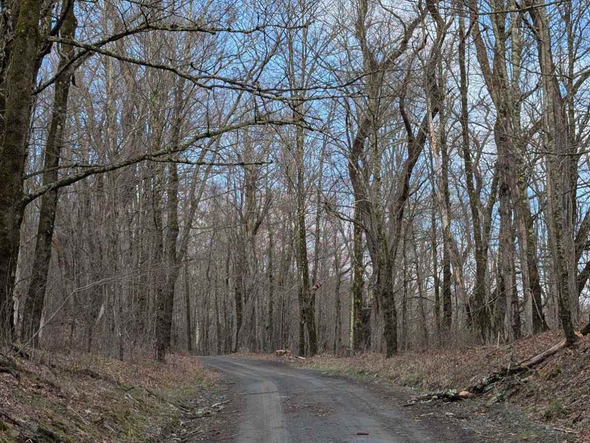 Montrose Turnpike photo 5