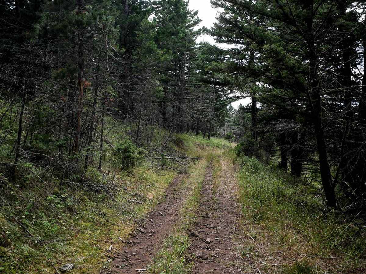 Bangtail Creek Loop ATV photo 5