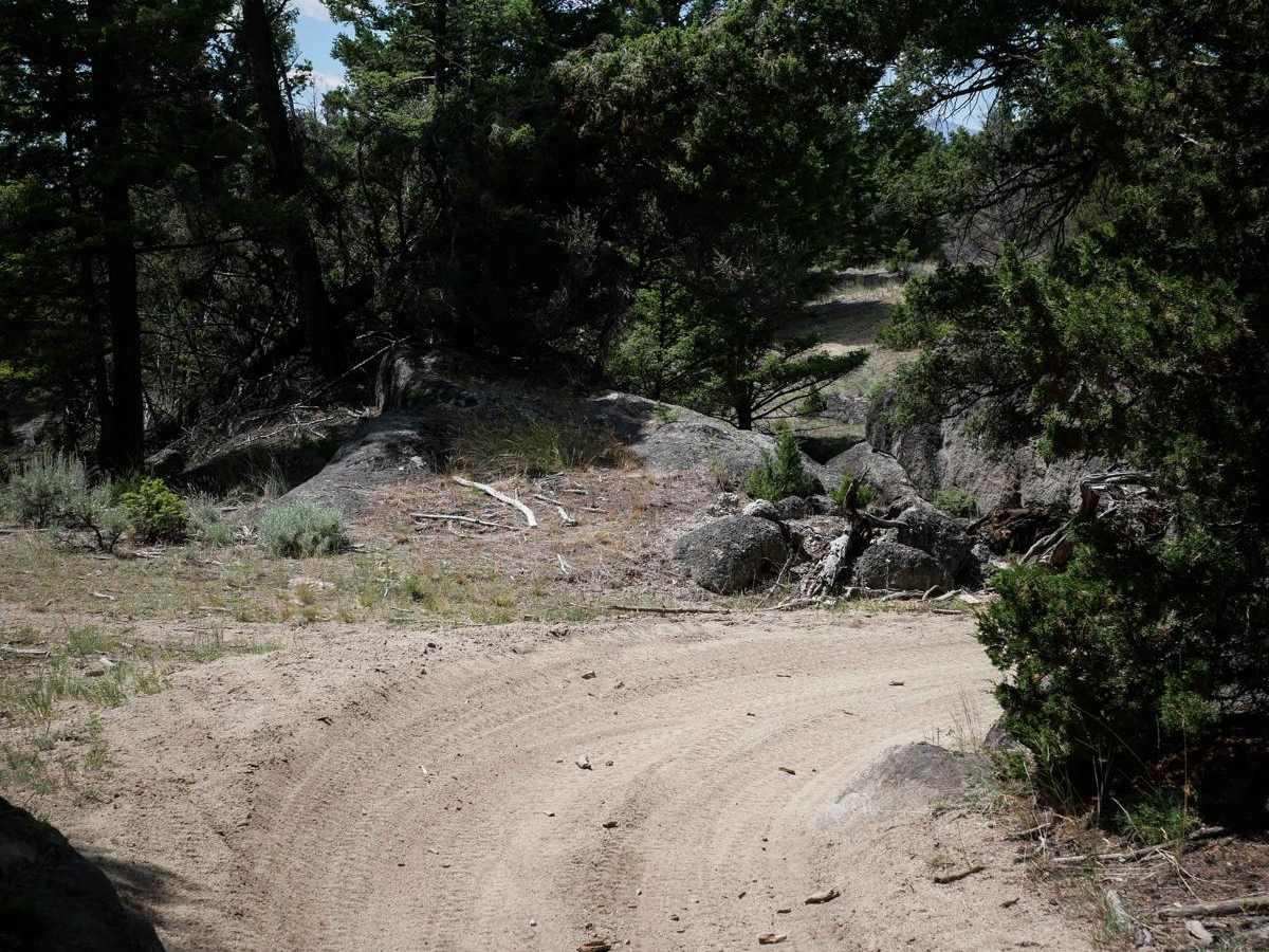 BLM 8 photo 6
