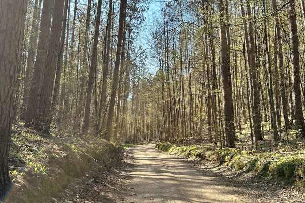 Cadillac Area ORV/OHV Scenic Ride - Part 11