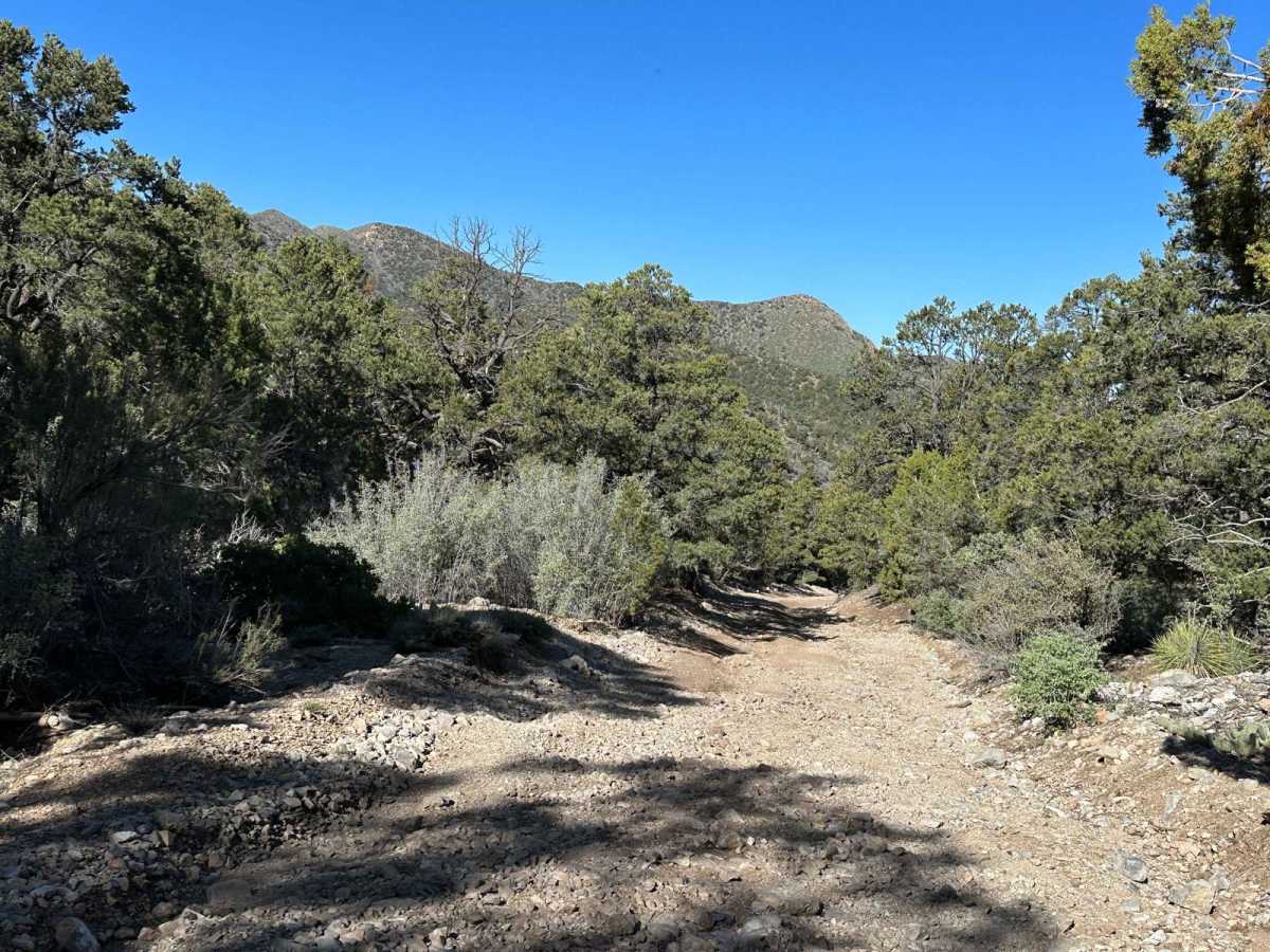 West Mountain Peak Road photo 2