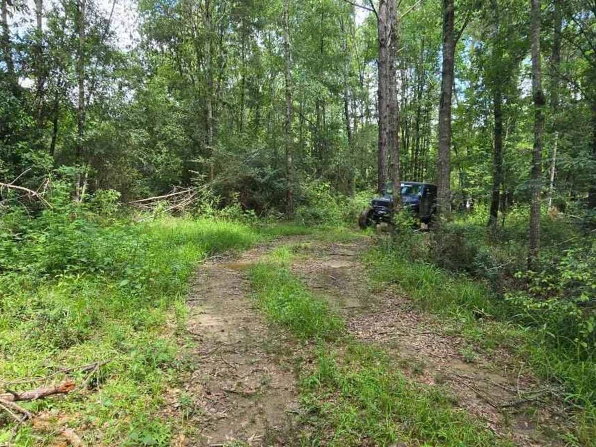 Trail 3 photo 3