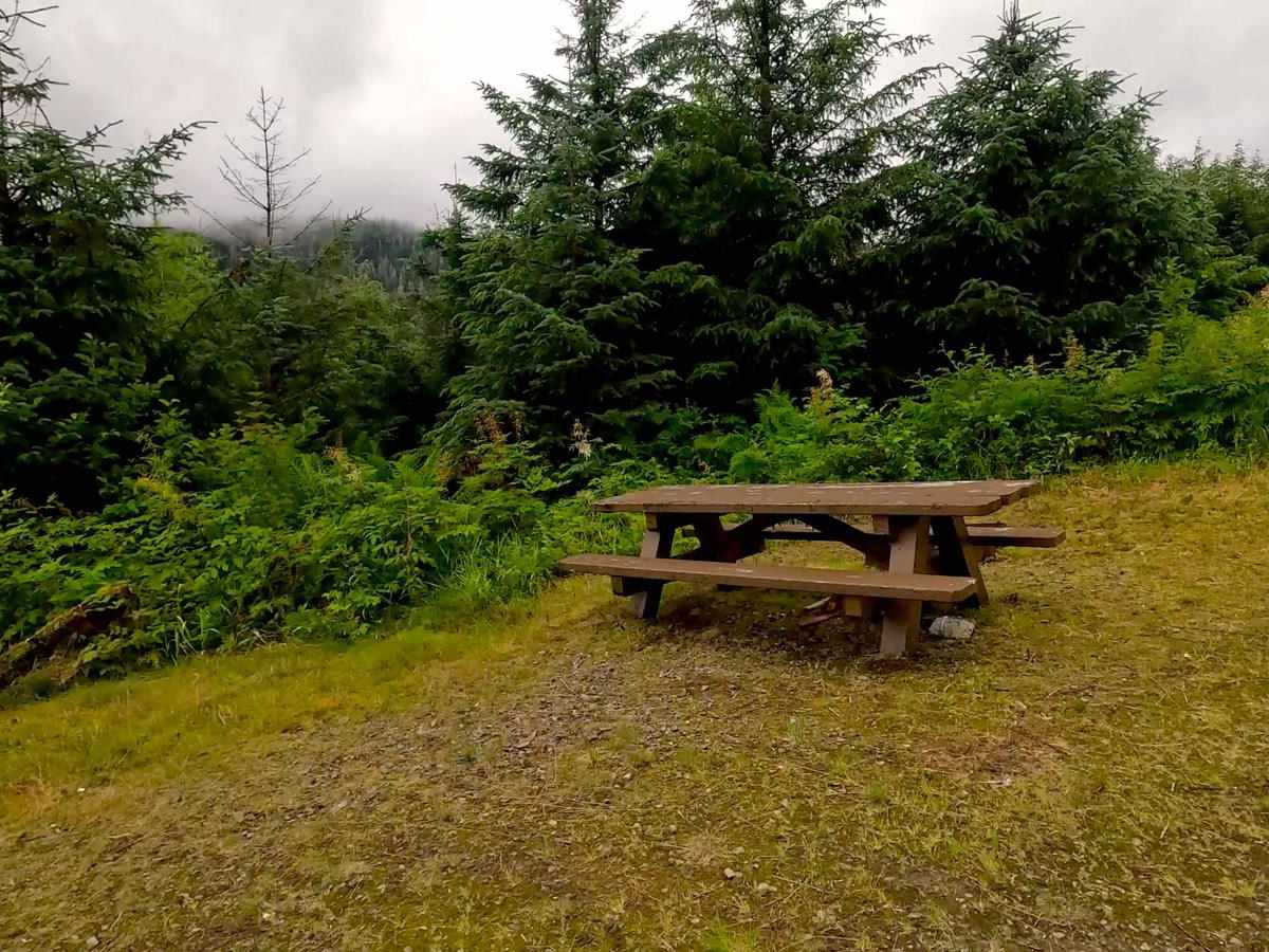 Canyon Creek / La Conte Lookout 6232 photo 2