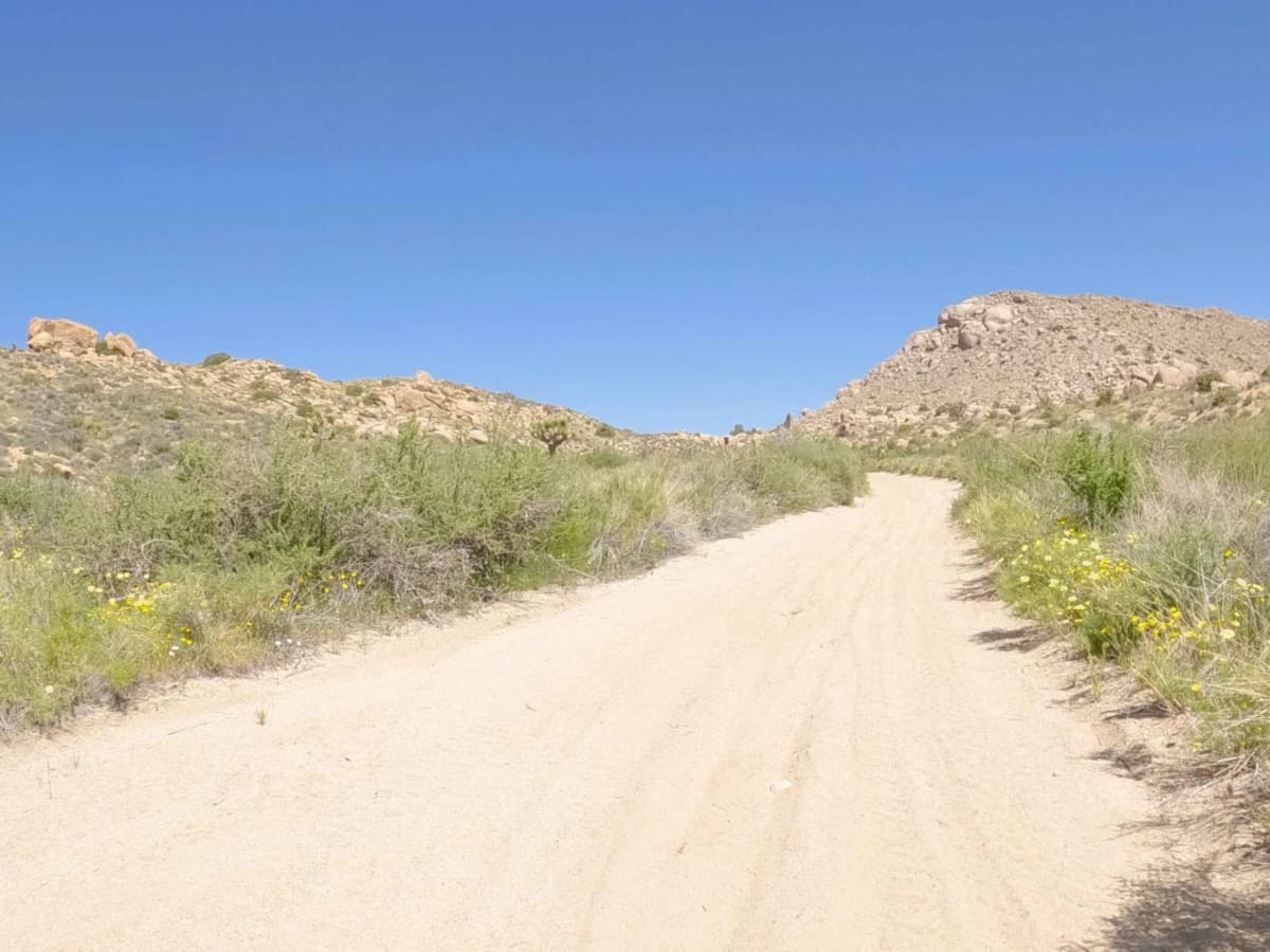 Spur - BLM C2315 photo 2