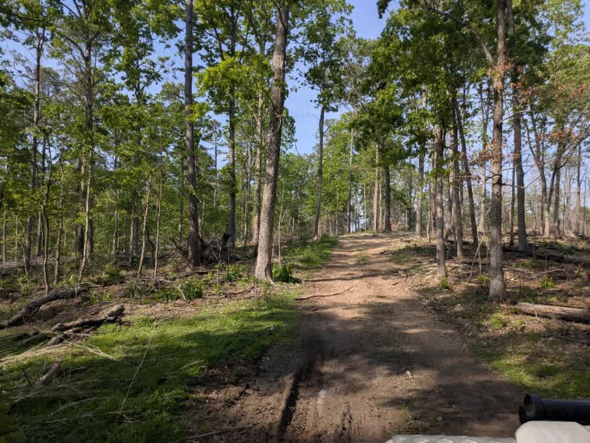 Bee Branch Road photo 4