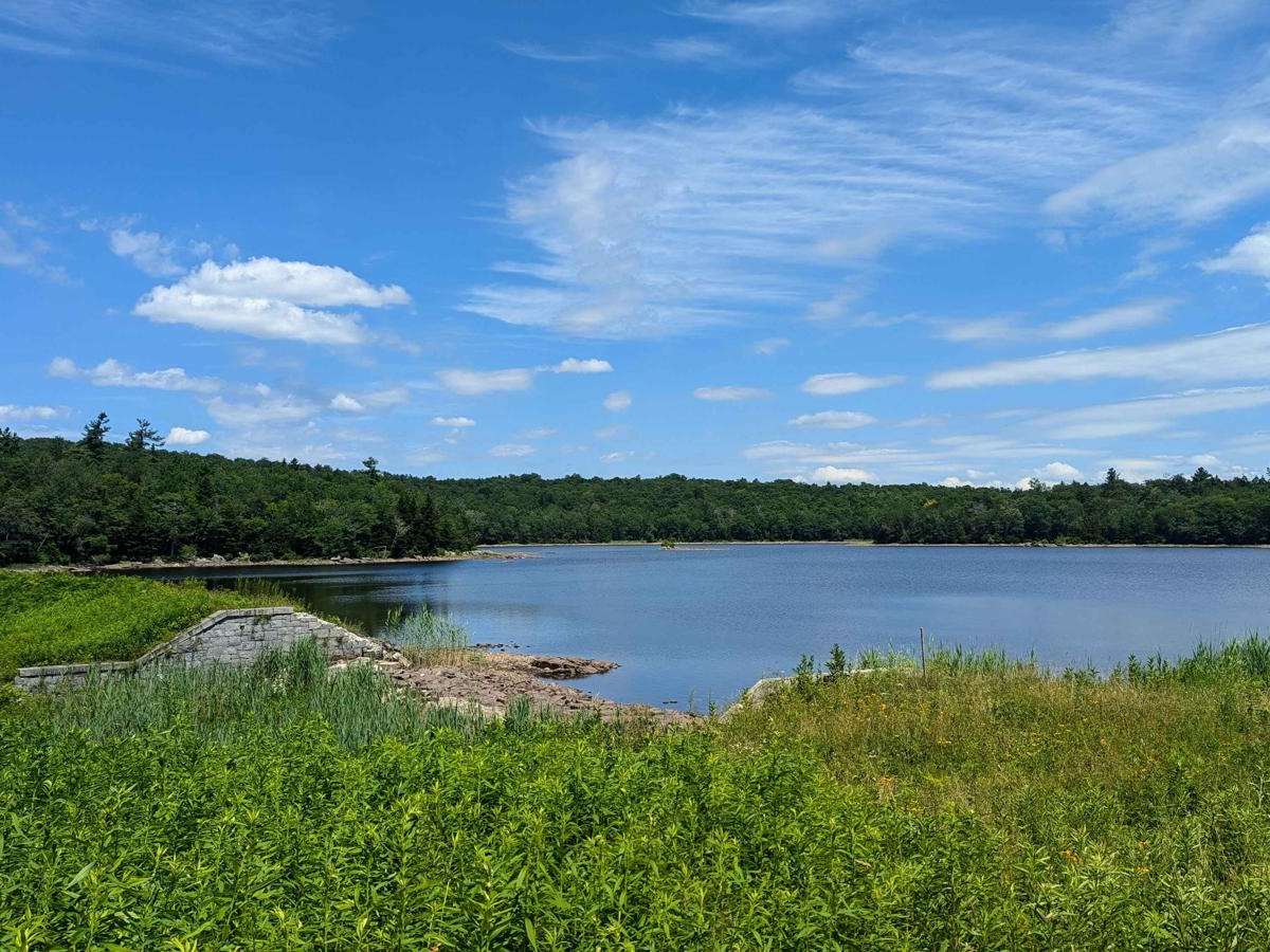 Ashley Lake Road trail photo