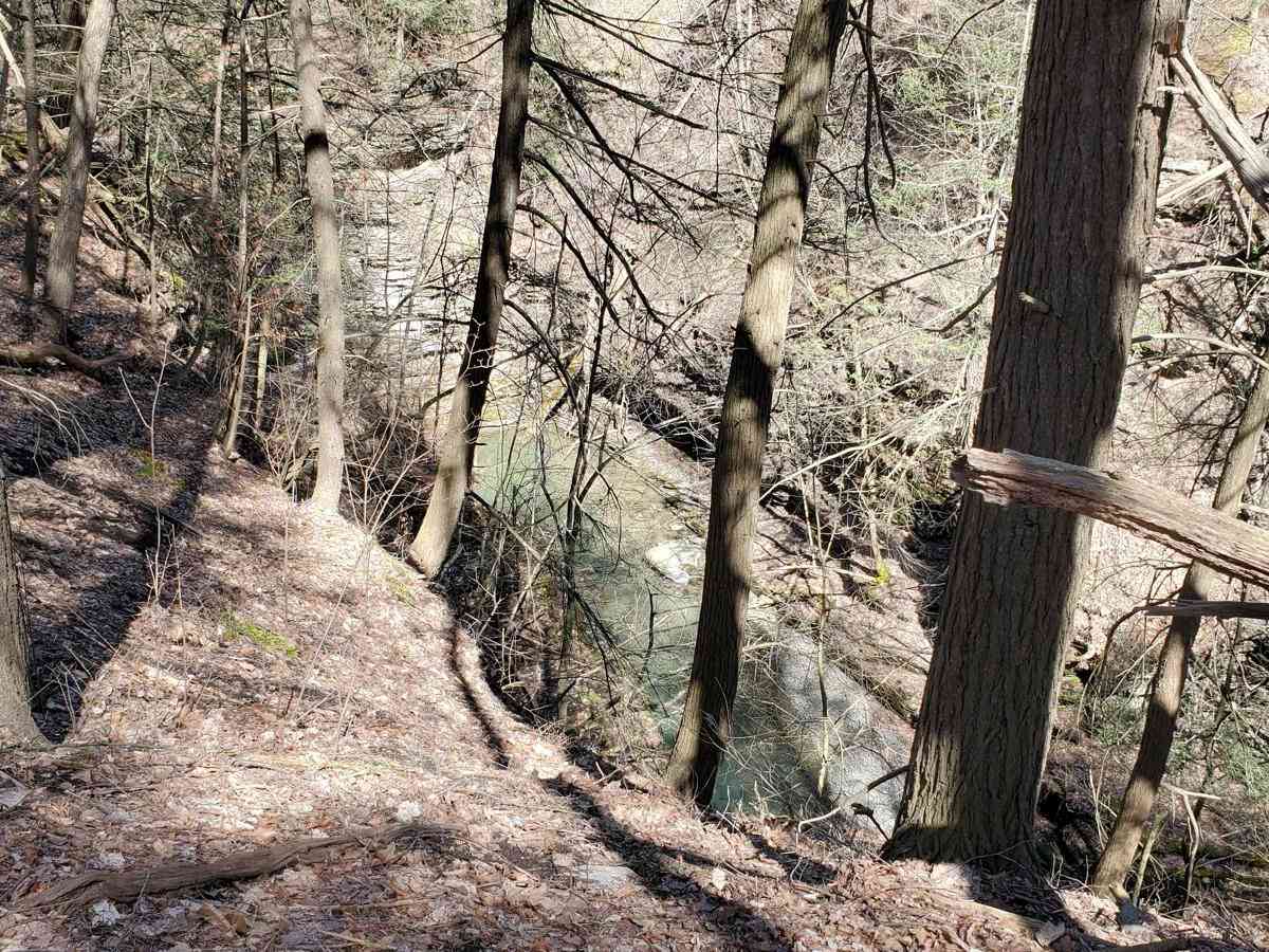 Carpenter Road photo 2