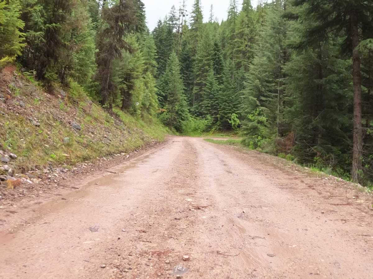 Deep Creek Road-Nemote Creek Road photo 6