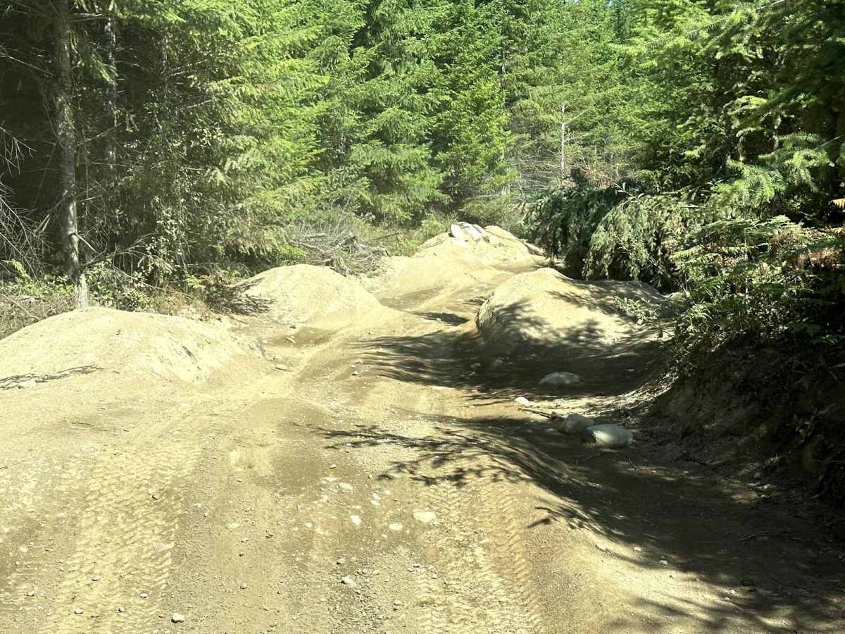 South Tahuya Loop trail photo