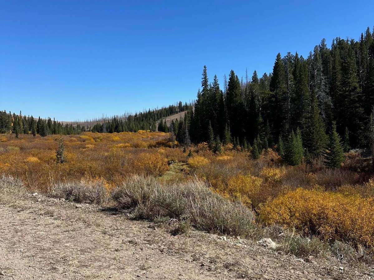 Wyoming Range 10046 photo 3