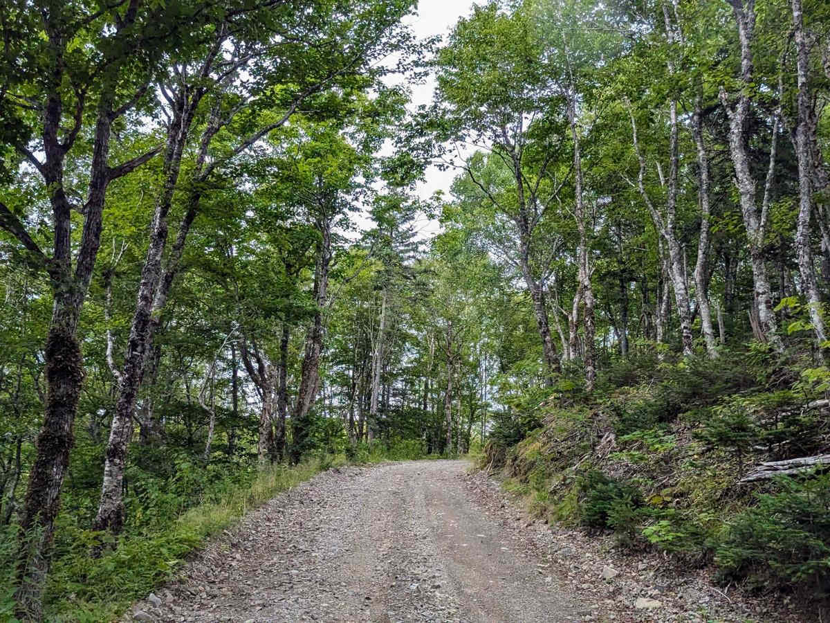 Connors Mountain Road photo 3